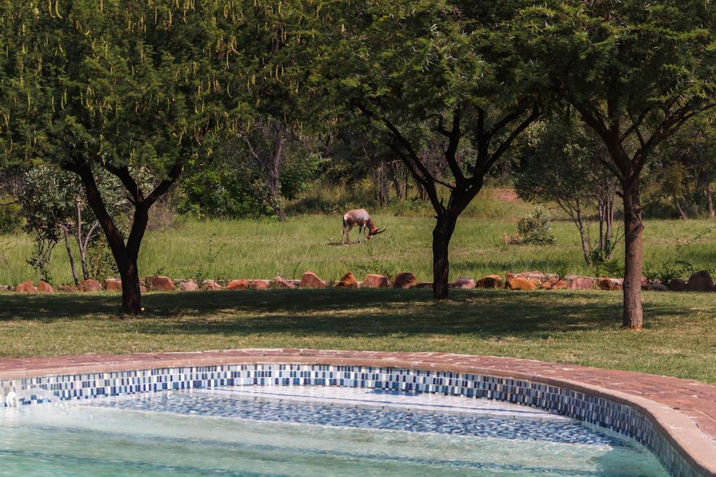 Birdsong Cottages Modimolle Extérieur photo