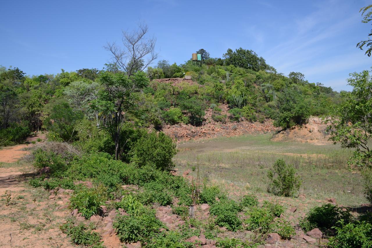Birdsong Cottages Modimolle Extérieur photo