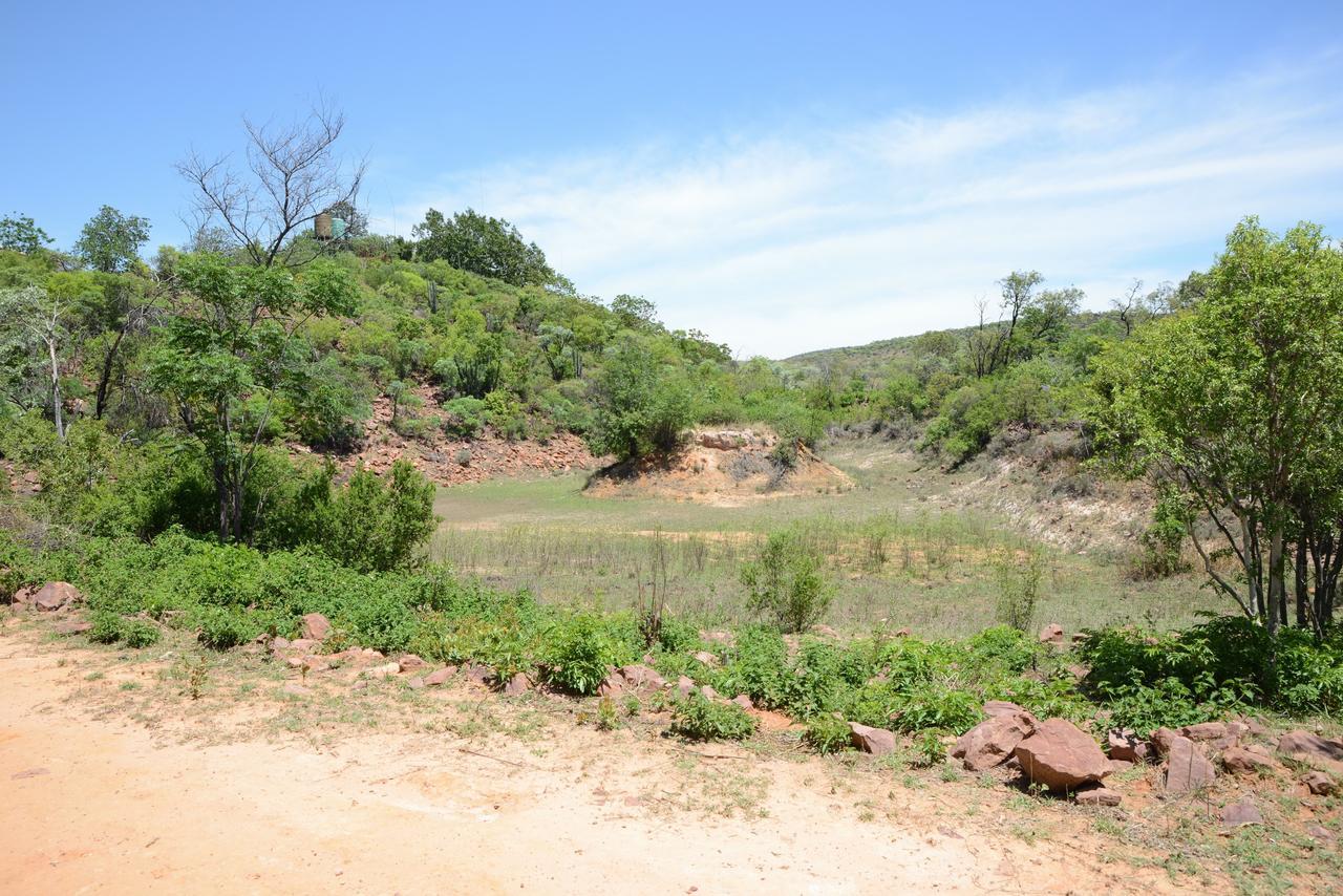 Birdsong Cottages Modimolle Extérieur photo